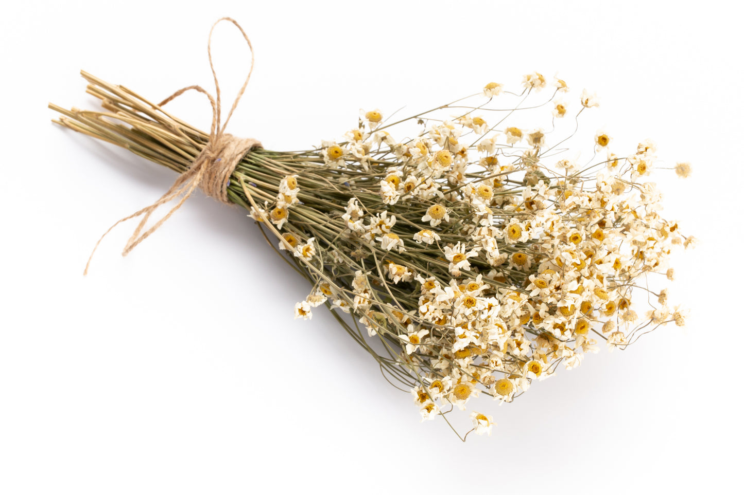 Egyptian Chamomile Tea - Herbal Honey