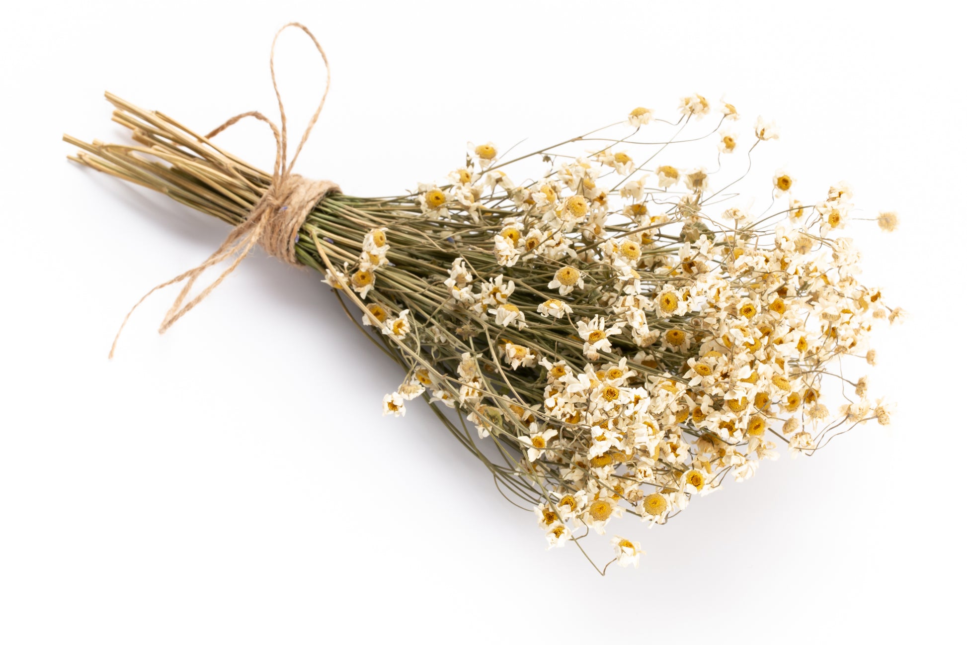 Egyptian Chamomile Tea - Herbal Honey